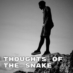 Thoughts Of The Snake (Not Type Beat - F#m / 120 bpm)