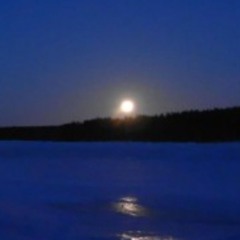 I Want You Back 1cast