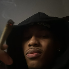 back n better (p. sillyaris)