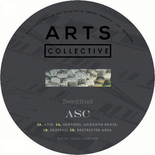 Sentinel (Acronym Remix)