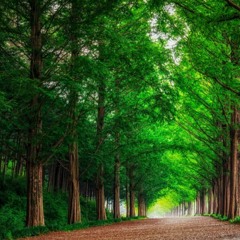 アイントノスナイントノウェイ travel background music DOWNLOAD