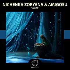 Nichenka Zoryana - Teflones (Lizplay Records)