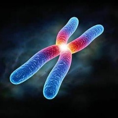 GALACTIC CHROMOSOME. feat brain surgeon brock