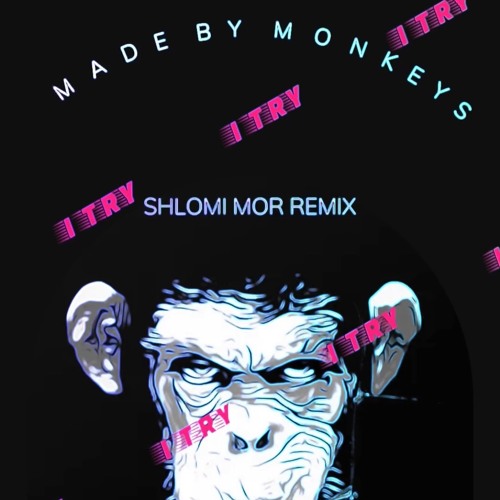 Made By Monkeys - I Try (Shlomi Mor Remix)