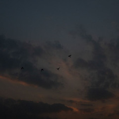 سورة الحاقة || عبد الرحمن السيد