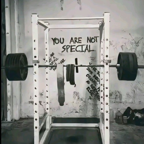 loniless slowed (final loop)