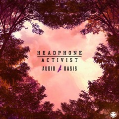 Headphone Activist - A Day Late