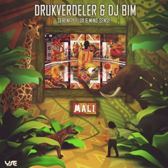 The Beginning (Drukverdeler & DJ Bim Remix)