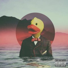 WHAT THE DUCK?! #2