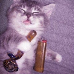 zai - feel like a dam zomby