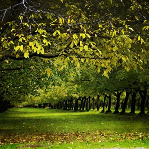 하바나 background music sb music FREE DOWNLOAD