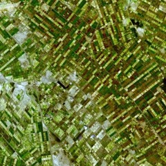 The Economic Roots of Modern Sudan | Alden Young