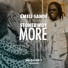 More of You (Booker T Afro House Radio Mix)