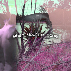 When You're Gone