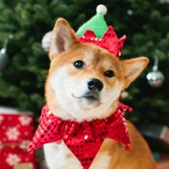 Christmas Shobe
