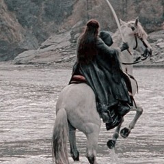 injury @alucard
