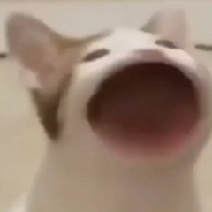 Open Up For Me (Original Mix)