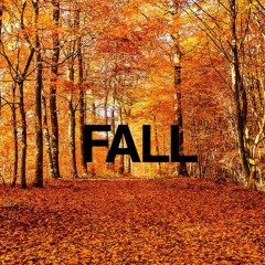 FALL - KERZ