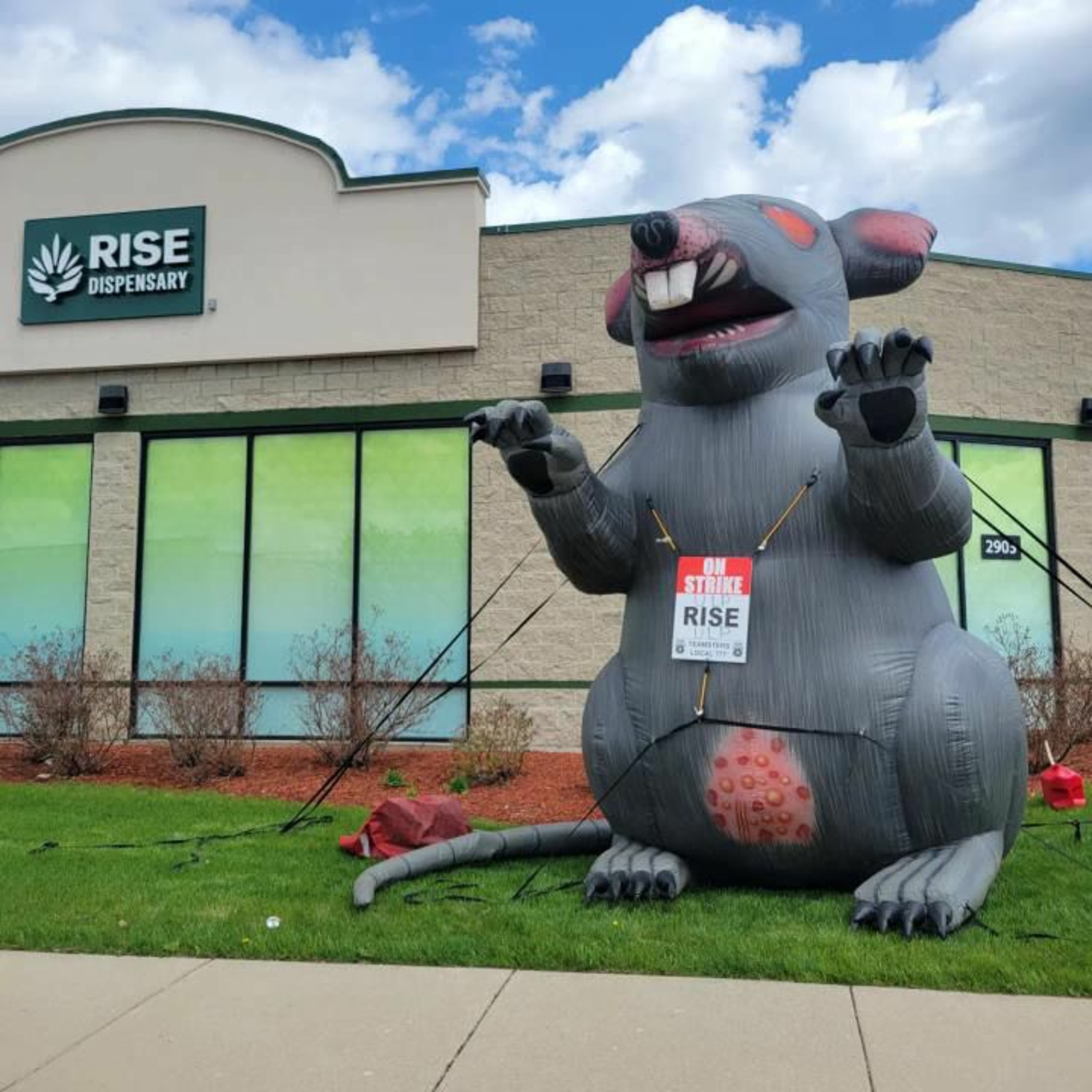 #275 - Live from the picket line - Chillinois Podcast episode artwork
