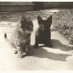 soy una máquina de canciones tristes