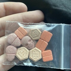 Pump It ✈️ Cat_Dealers_&_Galck_
