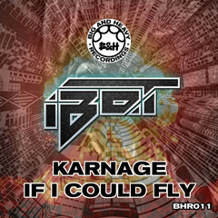 iBot - Karnage (Original Mix)