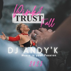 DJ Andy'K Pink - Trustfall (Remix)2023