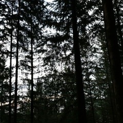 Zweites Ambiente