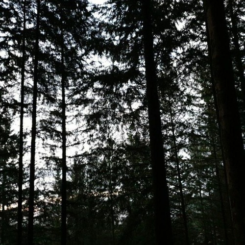 Zweites Ambiente