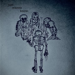 just wanna know. (prod. Steven Riley)