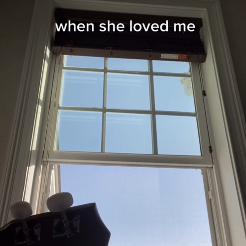 “When She Loved Me” (cover by Lyn Lapid) by Sarah McLachlan