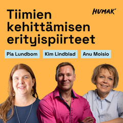 Tiimien kehittämisen erityispiirteet