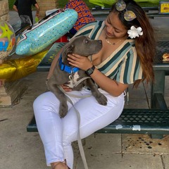 Im Sprung Cover - Wanna Stay [Ifo Jam]