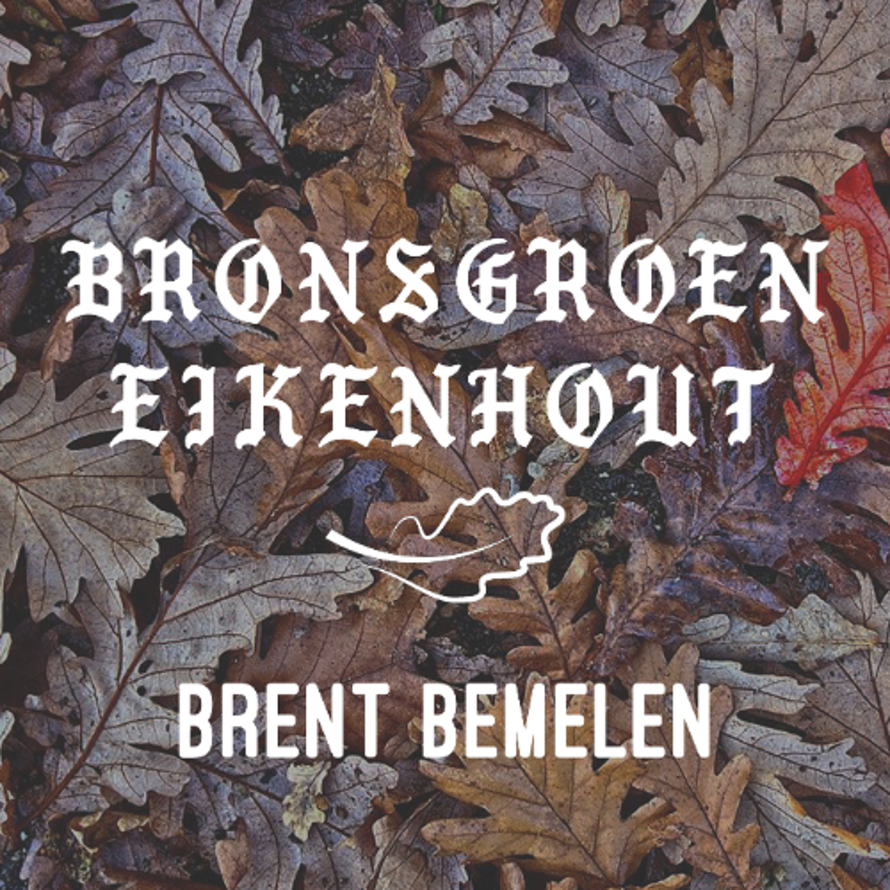 S2E10 Brent Bemelen