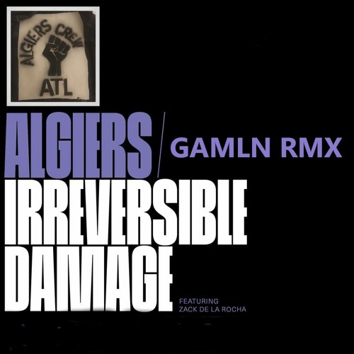 Algiers Feat. Zack De La Rocha -Irreversible Damage(Gamln version) #algiersgotshook