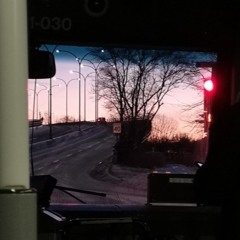 highway forest