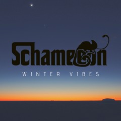 Schameleon - Winter Vibes DJ Set