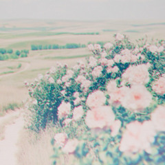 Golden Hour Reflections