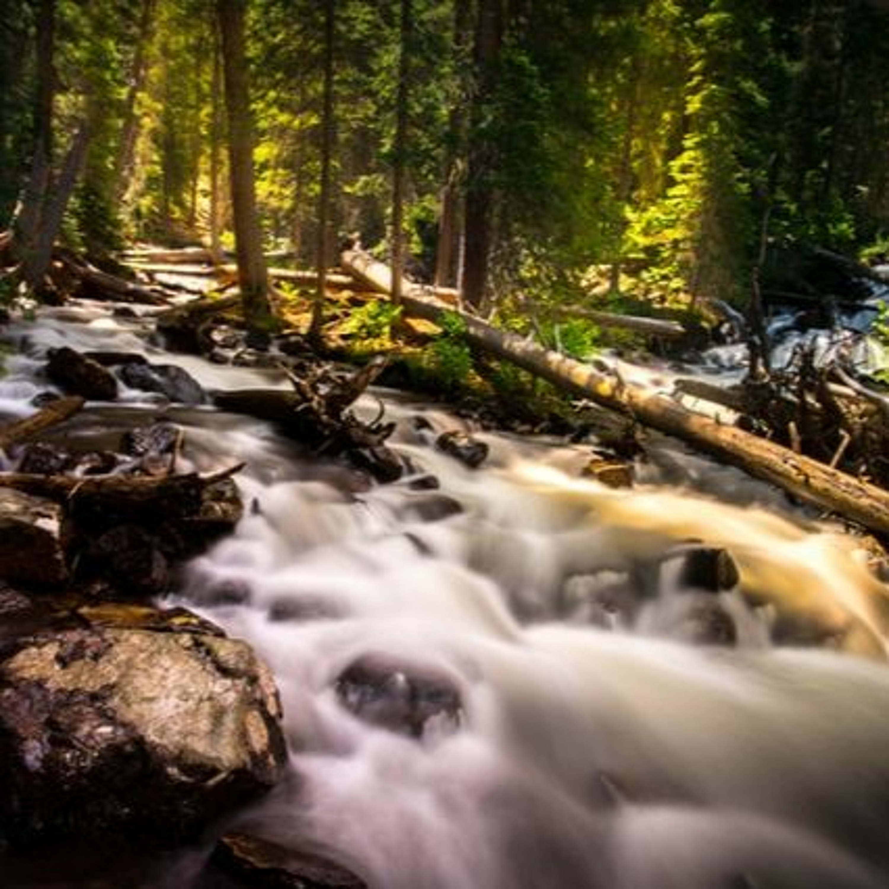 "Wild Places are at the Heart of our Sacred Moments" by Mark Pratt-Russum episode artwork