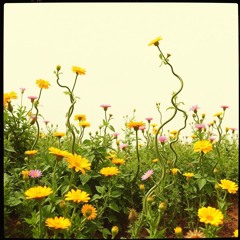 in the summer room (2).wav