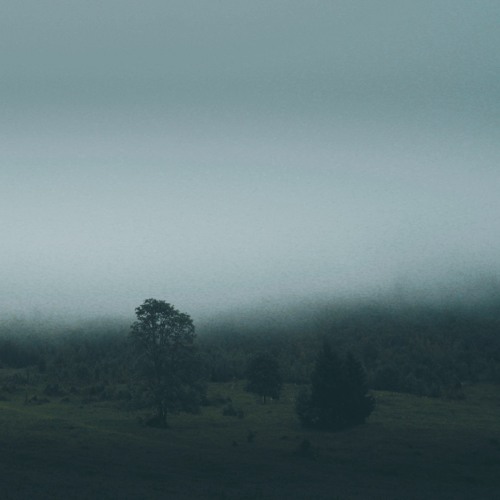 A song from the hidden valley