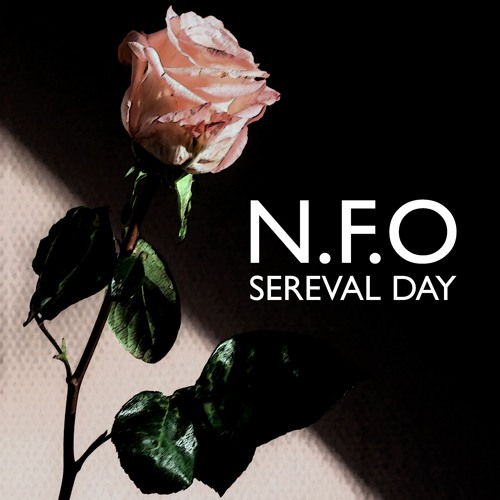 N.F.O - Sereval Days (Original Mix)