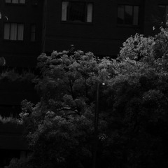 The Lights Are Out