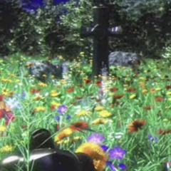 ELOH - Lowkey (prod Ashura)