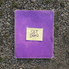 THE SBT DEMO (2017-2021)