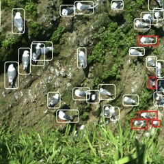 (they hate change) stunt cams mix