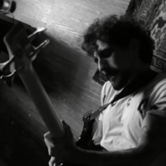 Kral Arı