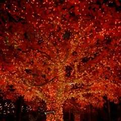 Hallelujah-Jeff Buckley (Cover by Madeleine Strandberg)