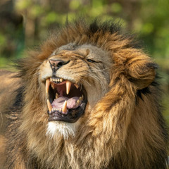 Áchim György - my anger towards my mother!