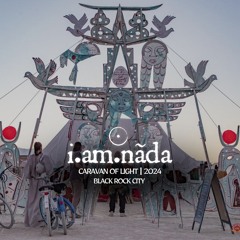 burning man 2024 | caravan of light | black rock city